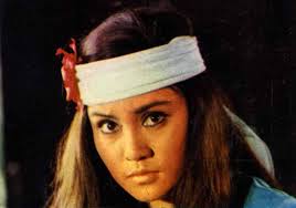 The WU TANG COLLECTION