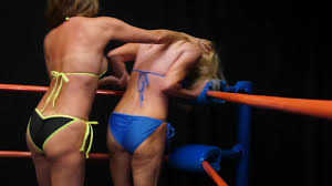 DT Wrestling - DT-1778HD Fight Babe Robin Vs Hollywood Classy Classics -  XFights