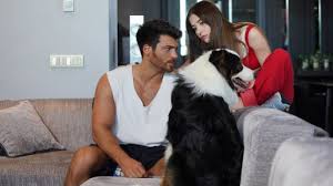 Wrong / bay yanlış starring can yaman and ozge gurel be aired? Turkish Series Mr Wrong Bay Yanlis Episode 3 Description An Actors Mr Photography Poses For Men