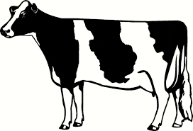 Image Result For Holstein Clipart Vinyl Car Stickers Animal Stickers Holstein