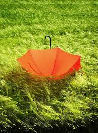 Pin Su Orange