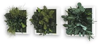 This diy greenhouse terrarium made using a variety of picture frame sizes serves as a beautiful display case for your plants, whether real or fake. Plant Island Frame Set Of 3 Love That Design