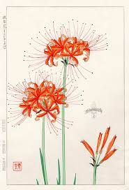 Ghost Flower Lily From Shodo Kawarazaki Spring Flower Japanese Woodblock Prints Flower Art Flower Drawing Etsy Art Prints