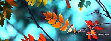 99covers Com Has Awesome Facebook Cover Photos Fall Facebook Cover Photos Fall Cover Photos Fall Facebook Cover The resolution of the fb background format is 851x315 px. fall facebook cover photos