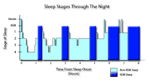 the five stages of sleep characteristics of non rem rem