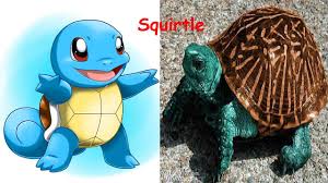 El juego trata acerca de tu relación con jirachi y hoopa. Pokemon Life Pokemon Life Version Pokemoncoders