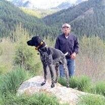 Lynn Lees Arrington Obituary