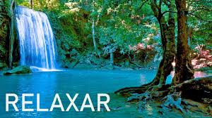Listen to musica relaxante | soundcloud is an audio platform that lets you listen to what you love and share the stream tracks and playlists from musica relaxante on your desktop or mobile device. Pin Em Flores E Vaso