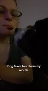 Your not a dog lover If you don’t let your dog take food from your mouth.  🤣❤️🐶