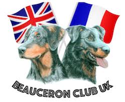 Find beauceron puppies & dogs for sale in the uk near you. Beauceron Club Uk Home Of The Beauceron Club Uk