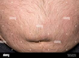 Image result for Umbilicus