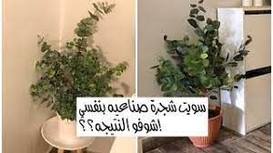 صنعت شجرة صناعية نفس اشجار ايكيا باقل التكاليف ikea youtube