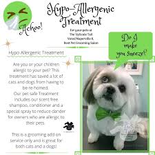 Pin By The Upscale Tail Pet Grooming On The Upscale Tail Pet Grooming Salon Naperville Il In 2020 Pet Grooming Salon Naperville Grooming Salon