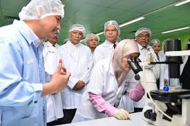 Therefore, inno biologics sdn bhd needs computerized and centralized production by having raw materials management system to manage their problems in a even though, inno biologics sdn bhd provide a job scope to each of the department that are well understand by the workers. Inno Biologics Sdn Bhd Photos Facebook