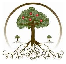Image Result For Simple Tree Drawing With Roots And Fruit Tree Drawing Simple Tree Roots