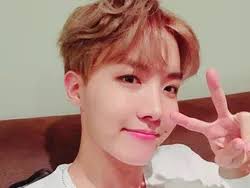 Você Sabe Quanto Sobre O J-hope?