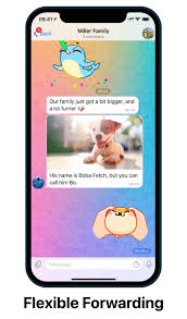 Live Streams, Flexible Forwarding, Jump to Next Channel, Trending Stickers  and More
