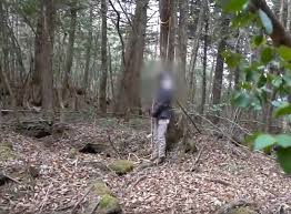 빽형 김만덕 허언 사실 10가지 페미니즘 윾튜브 띠예 로건폴 한남여전사 수빈 워마드 메갈 еще. Tzu70qgdjribam
