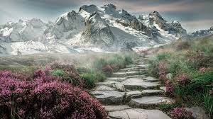 A collection of the top 52 hd mountain wallpapers and backgrounds available for download for free. 100 000 Free Mountain Pictures Images In Hd