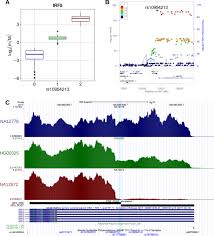 We did not find results for: Frontiers The Length Of The Expressed 3 Utr Is An Intermediate Molecular Phenotype Linking Genetic Variants To Complex Diseases Genetics