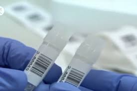 Di jakarta, presiden joko widodo telah menargetkan herd immunity bisa tercipta pada agustus mendatang. Uji Sel T Untuk Vaksin Covid 19 Inggris Gandeng Perusahaan Oxford Antara News