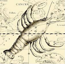 That is why cancer occurs more often in older people. Cancer Constellations Of Words