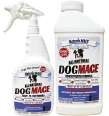 My favorite bitter dog deterrent came as a recommendation of a friend who lives in a tropical area with endless rain and a magnificent supply of freshly roasted coffee. Amazon Com Dog Repellent Spray 40oz Ready To Use Garden Outdoor Spray Repellent Dog Repellent Spray