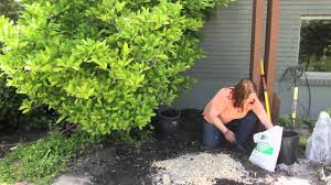 This will result in a stiffer mix. How To Garden With Sawdust In The Soil Grow Guru Youtube