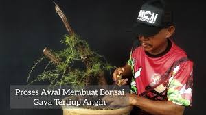 Ketika kebocoran terjadi, itu berarti membiarkan air masuk ke rumah dan mengganggu segala aktivitas keluarga kita. Cara Membentuk Gerak Dasar Bonsai Cucur Atap Baeckea Dengan Mudah Youtube