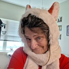 What are some reasonable car insurance options?