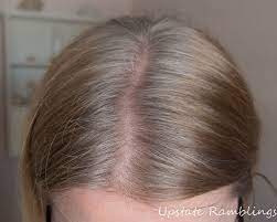 Hair Color From Madison Reed Upstate Ramblings Madison Reed Hair Color Grey Hair Coverage Hair Color Chart
