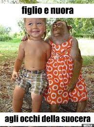 Figlio E Nuora Agli Occhi Della Suocera Immagini Divertenti Divertente Bambini Divertenti