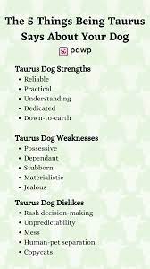 Taurus Dog Personality What Being A Taurus Says About Your Dog What Is A Taurus Dog Personality Your Dog