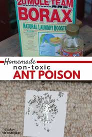 Ants can live submerged in water for several days so you need to using boiling temperature to kill them. How To Make Homemade Non Toxic Ant Poison