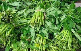 Image result for Ipomoea aquatica