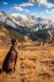 Homeward Bound Loveland Pass Colorado Explore Colorado Colorado Mountains Loveland Pass