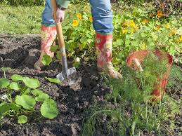 Sie können dann nach anleitung die bodenprobe nehmen. Bodenanalyse Anleitung Und Kosten Mein Schoner Garten