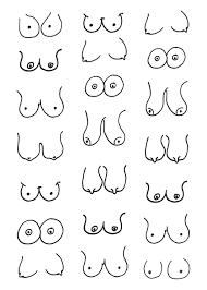 Drawing of tits