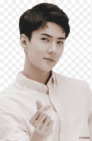 Artists do more than make art in the studio and hang out at coffee shops. Exo Male Korean Artist Png Pngegg