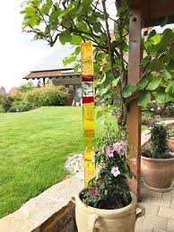 Glasstelen Garten Gartendekoration Gartenkunst