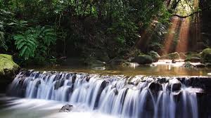 Tons of awesome pyke wallpapers to download for free. Waterfalls Nature Wallpapers For Android Apk Download