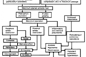 A Study On Meconium Aspiration Syndrome Cases Attending To Government General Hospital Anantapuramu Andhra Pradesh International Journal Of Research In Health Sciences