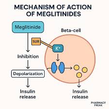 Image result for Meglitinide