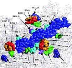 Image result for Blue 1998 AAV