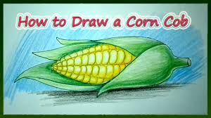 Check spelling or type a new query. How To Draw A Corn Cob Step By Step Youtube