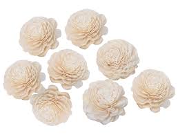 Sola wood is extremely soft and can easily be penetrated with a wood or wire stick to. Sola Wood Flowers Manufacturer Supplier Exporter Global Dried Flowers
