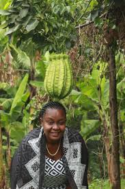 Image result for Telfairia pedata