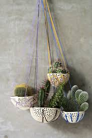 The frequency depends on the size of the plant. Cactus 13 Things To Know About Cactus Plants Cacti