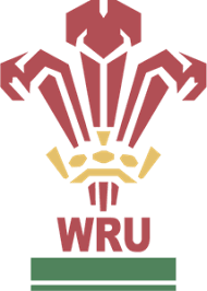 Wales also played their first international in 1881 against england. Welsh Rugby Union Logo Vector Eps Free Download