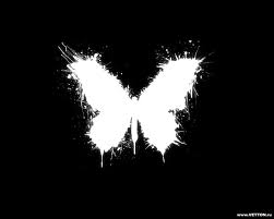87 gambar matahari kartun hitam putih hd gambar kantun. Wallpaper Sinar Matahari Satu Warna Bayangan Hitam Kupu Kupu Cahaya Kegelapan Sayap 1280x1024 Px Wallpaper Komputer Hitam Dan Putih Fotografi Monokrom Fon 1280x1024 Goodfon 547331 Hd Wallpapers Wallhere